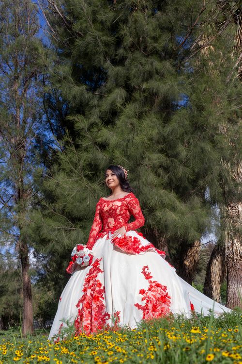 Free A woman in a red and white ball gown standing in a field with trees and wildflowers in Fresnillo, Mexico. Stock Photo
