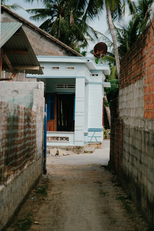 Free A narrow alleyway with vibrant palm trees framing a serene blue house on a sunny day. Stock Photo