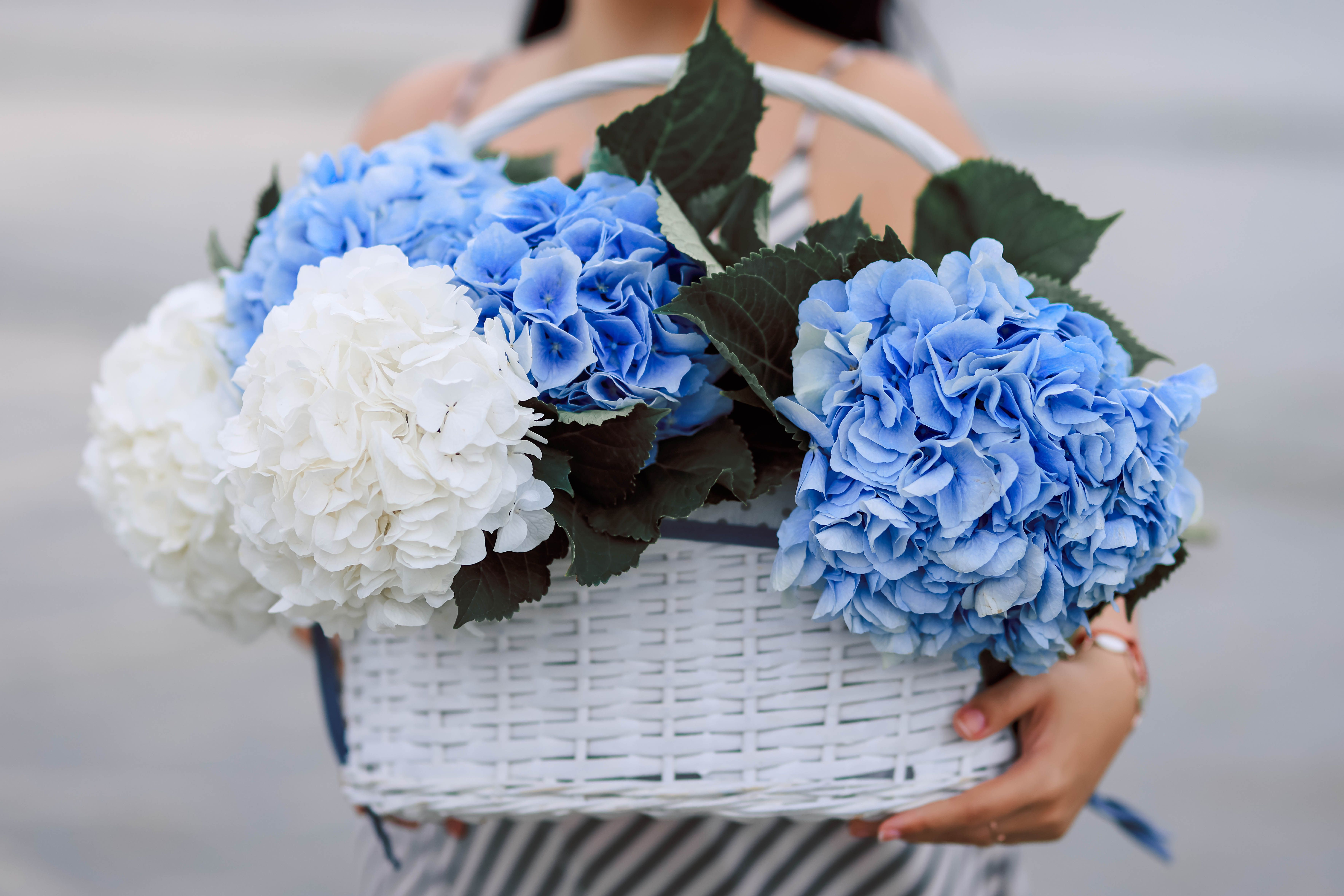 Woman holding blue and white flowers