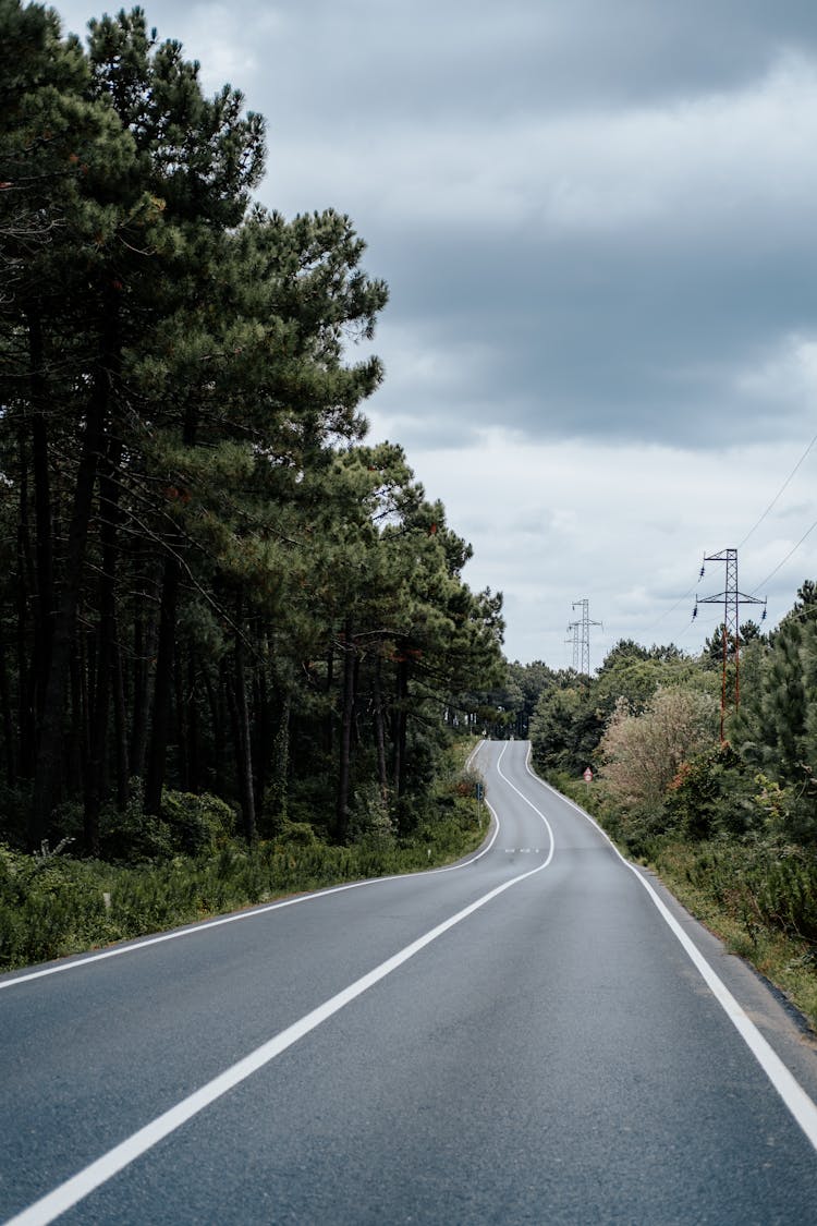 Empty Road Near Dense Forest