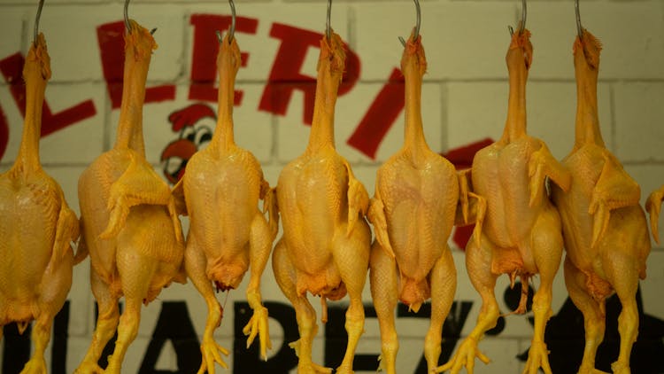 Close Up Of Meat Hanging On Hooks