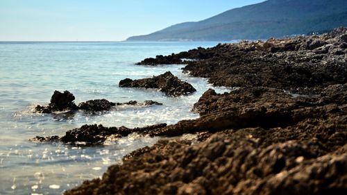 Free Scenic view of the rocky coastline in Đuga Luka, Croatia, under a clear blue sky. Stock Photo