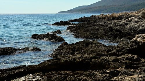 Free Beautiful rocky coastline of Duga Luka in Istria, Croatia. Stock Photo