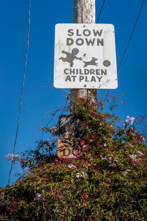 Free Children at play warning sign with flowers against a clear blue sky. Stock Photo