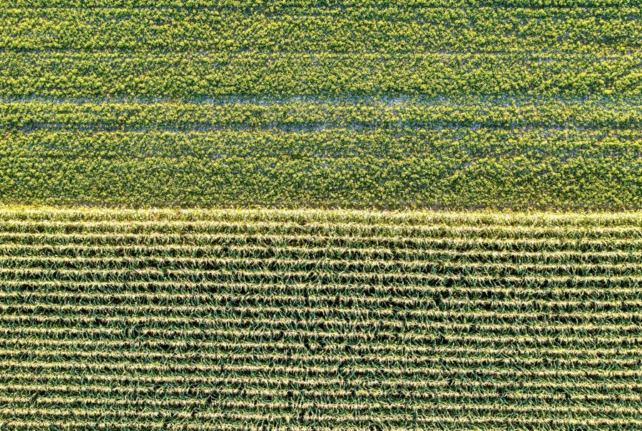 Aerial view of open plotted land