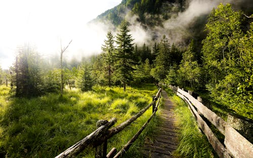 Бесплатное стоковое фото с гора, деревянные перила, деревянный мост