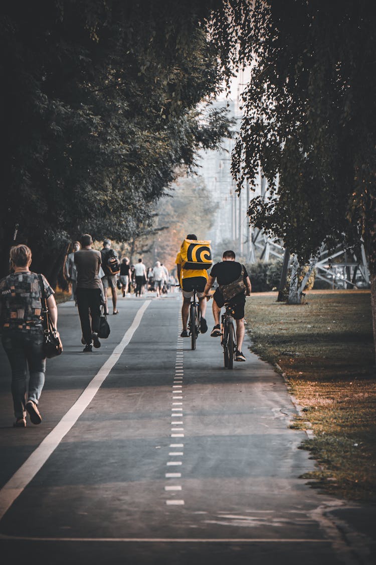 Men Riding Bikes On Road In Park