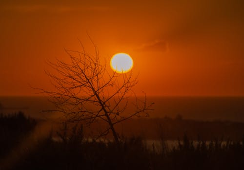 Ilmainen kuvapankkikuva tunnisteilla auringonlasku