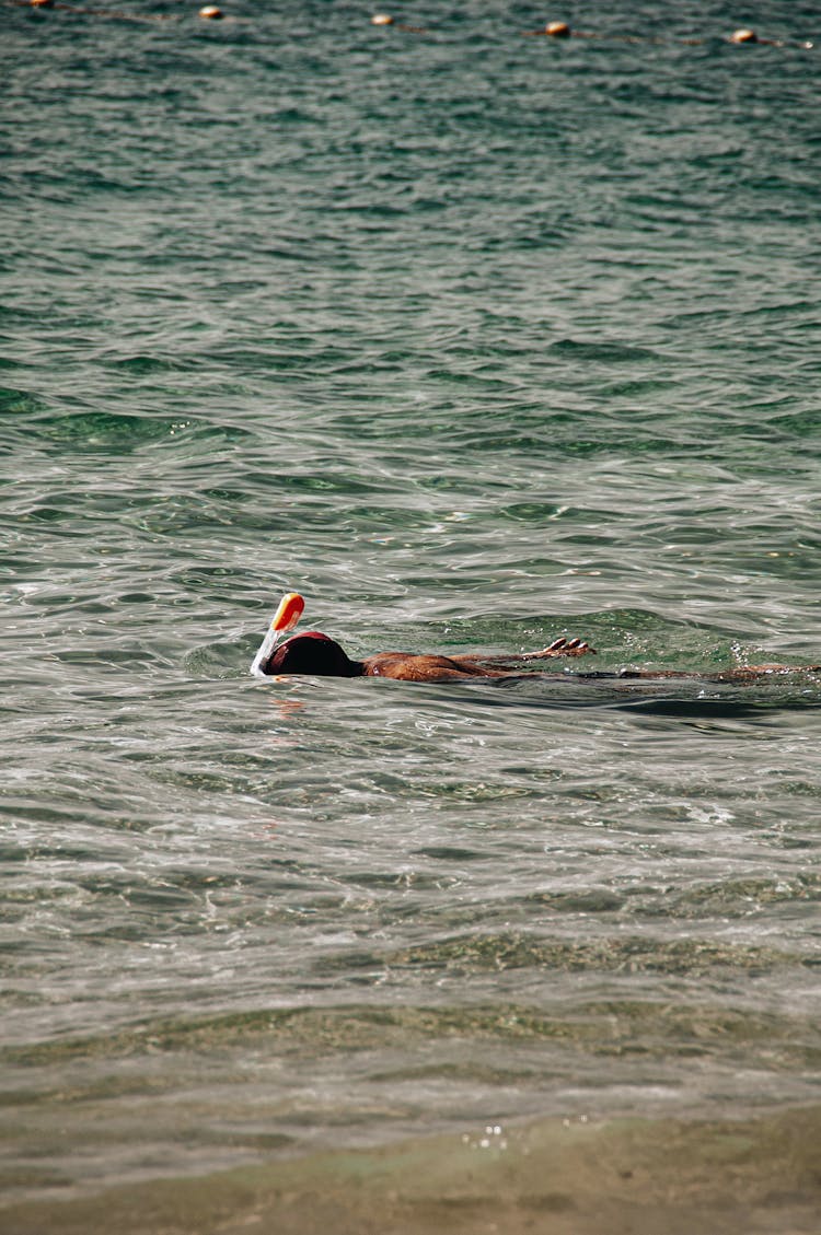 A Person Swimming On The Beach