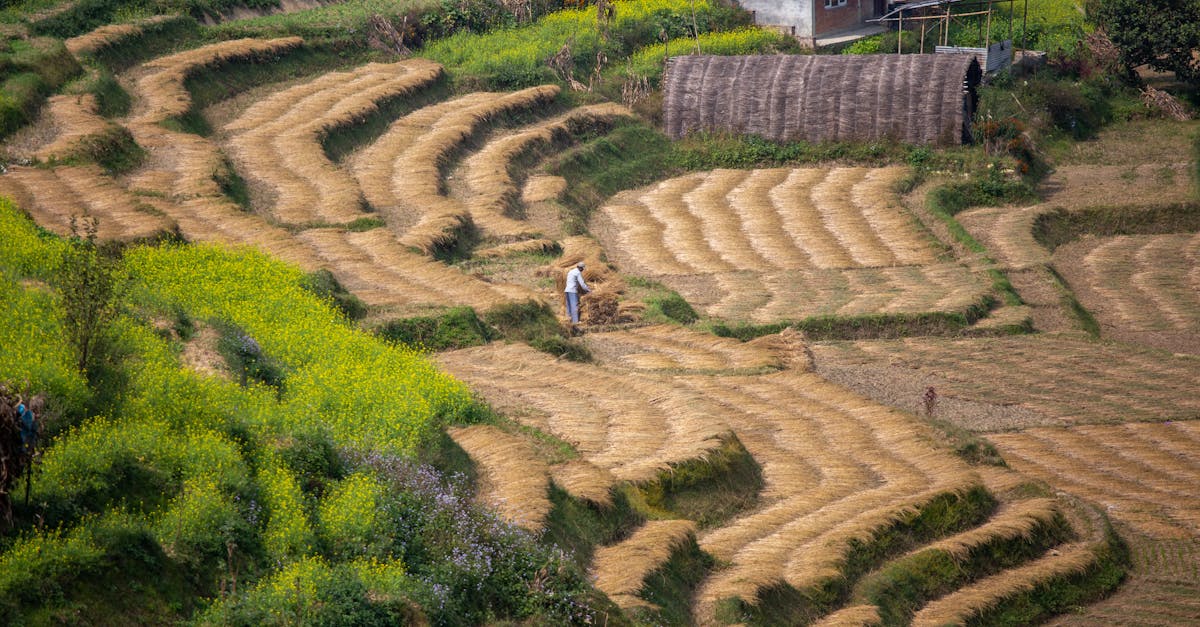 Man Working in Terraced Field · Free Stock Photo