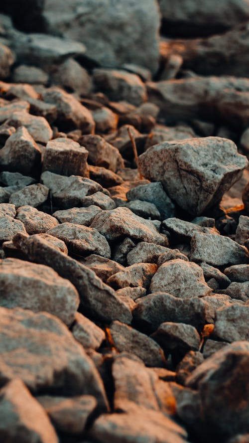 Free Brown and Gray Rocks Stock Photo