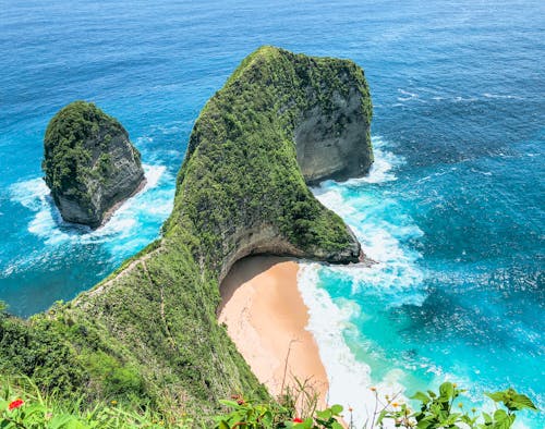 Forest on Rocks on Sea Coast