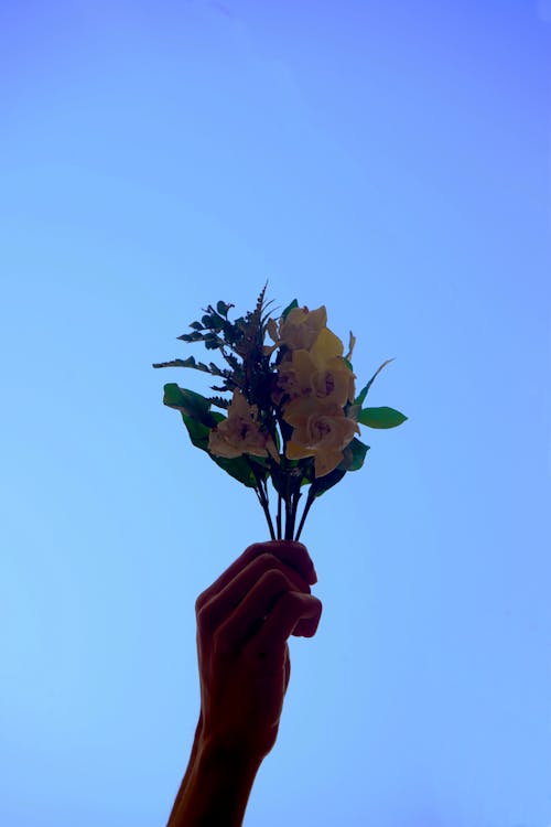 A Person hand Holding Handpicked Flowers