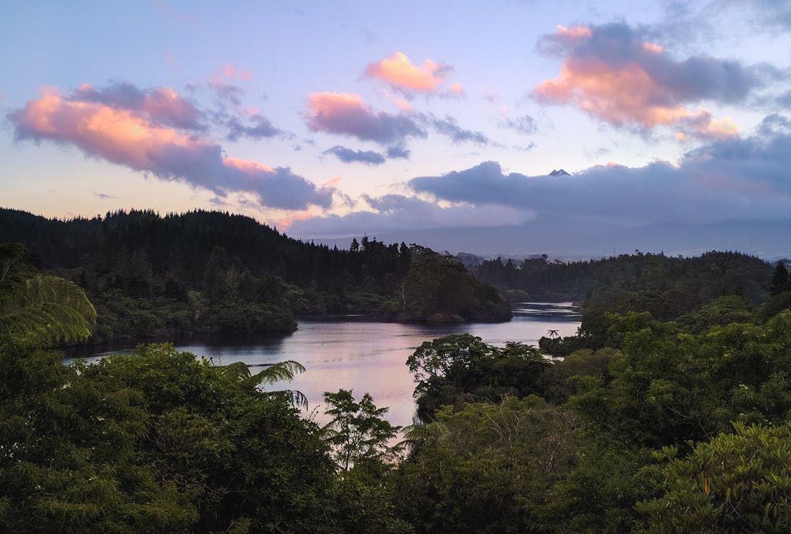 Rio E árvores Sob O Céu Azul