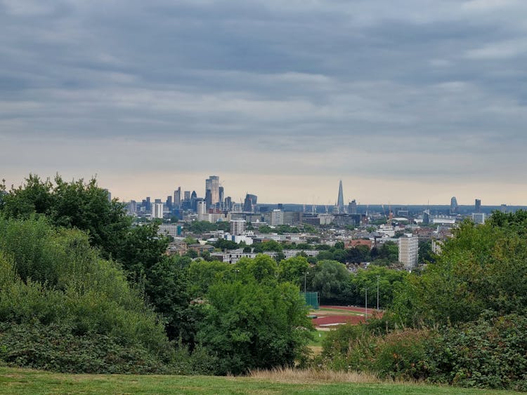 A View Of The City From The Park