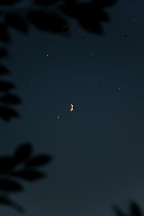 The Moon in the Night Sky 