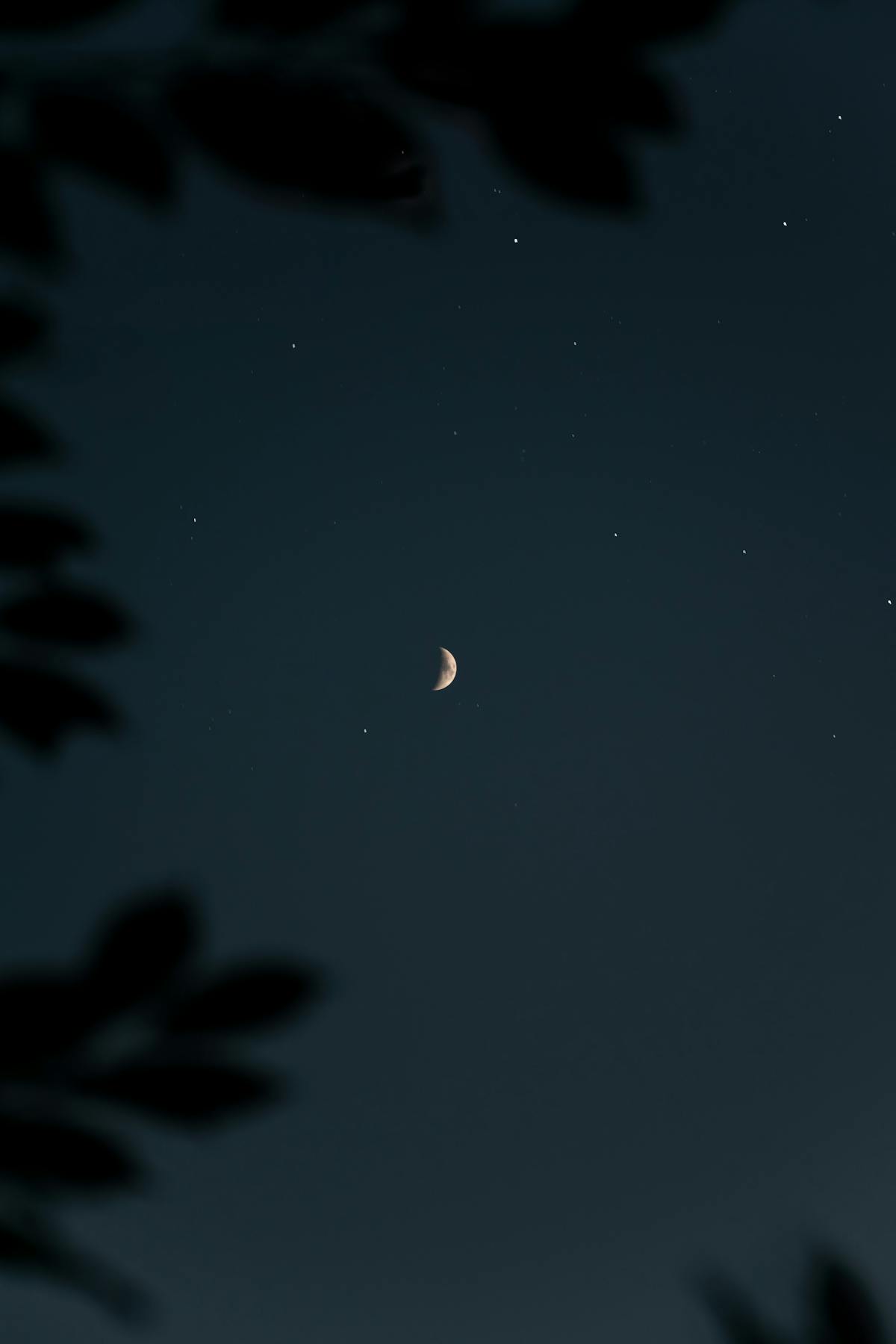 Gambar Tuhan Yesus Berdoa Photos, Download The BEST Free Gambar Tuhan