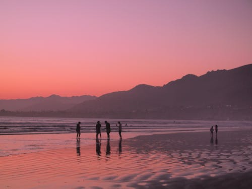 シルエット, ビーチ, ピンクの空の無料の写真素材