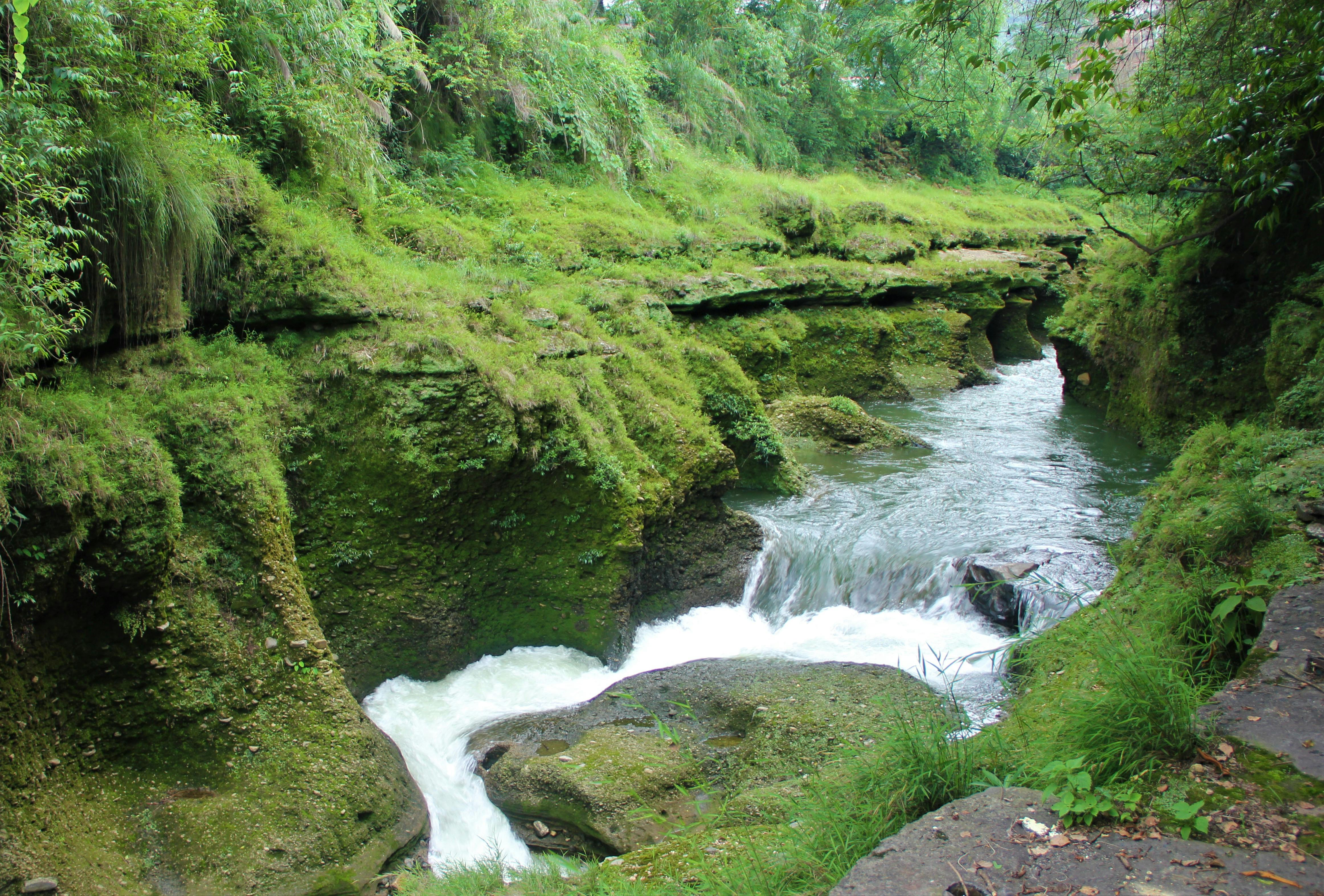 Free stock photo of Green waterfall david fall Nepal water mountain
