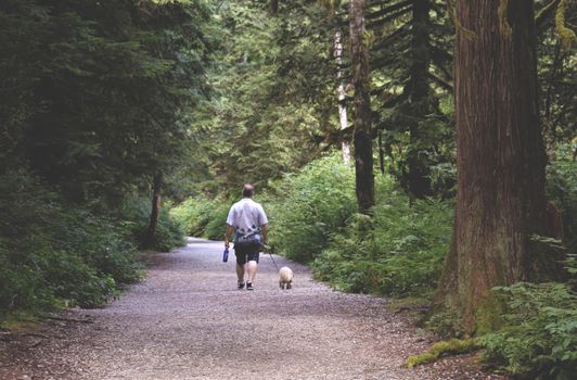 A man walks his dog on a forest trail surrounded by lush green trees.