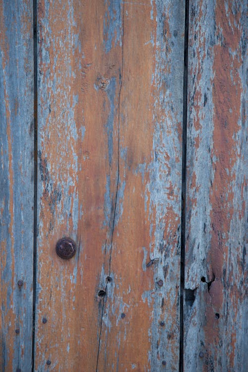 Wooden door texture