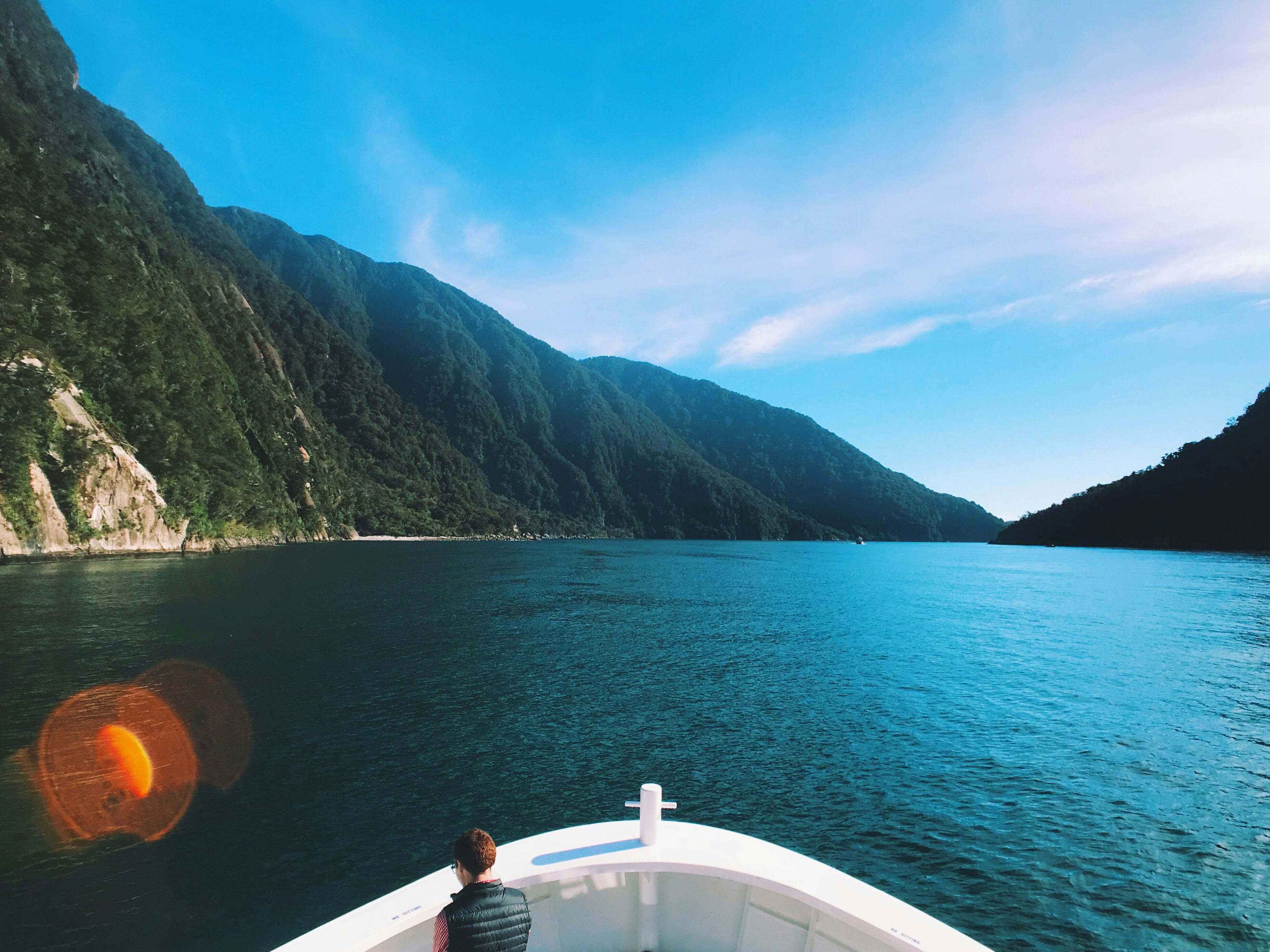 general travel new zealand — Photo by Carmen Ong on Pexels
