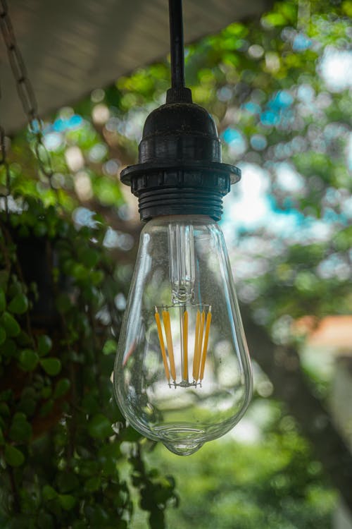 Close-up of a Light Bulb