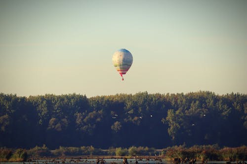 Darmowe zdjęcie z galerii z balon, balon na gorące powietrze, drzewa