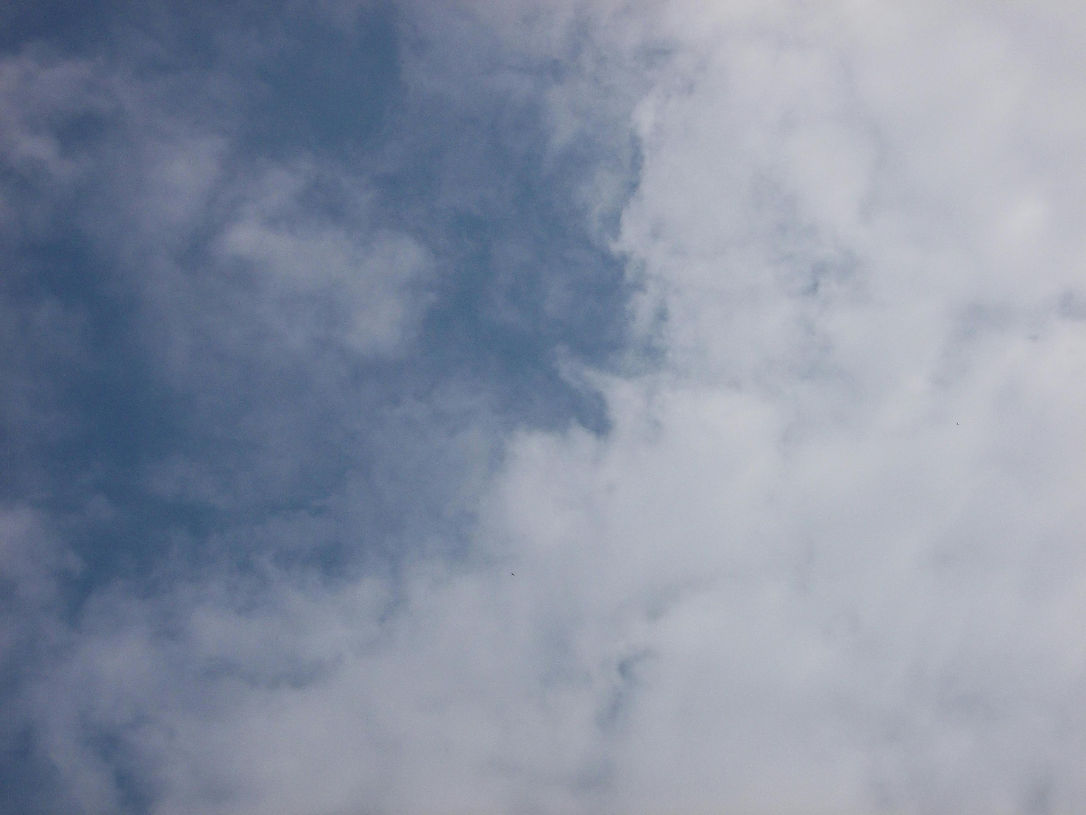 IT-Referenzprojekt Lueb & Schumacher GmbH & Co. KG - Metalltiefzug: Erfolgreiche IT-Lösungen und Systemadministration durch ZASS IT Solutions