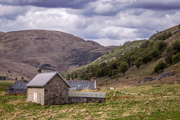 A House In The Countryside