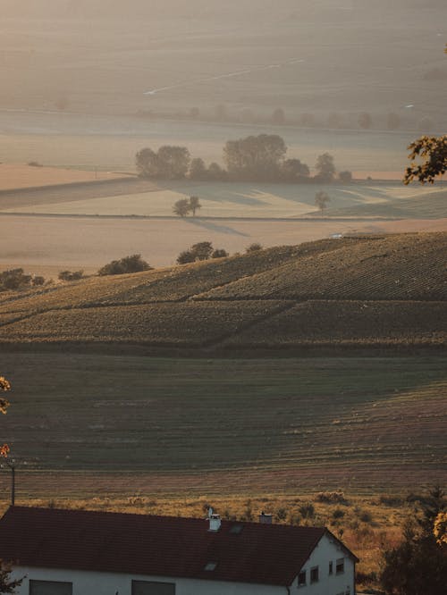 Aerial View of a House and Croplands in the Countryside 