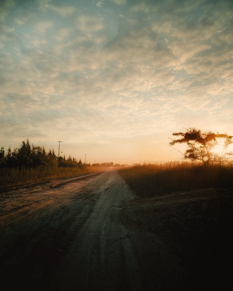 Rural Landscape At Sunset