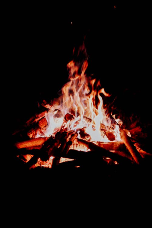 Close-up of a Camp Fire