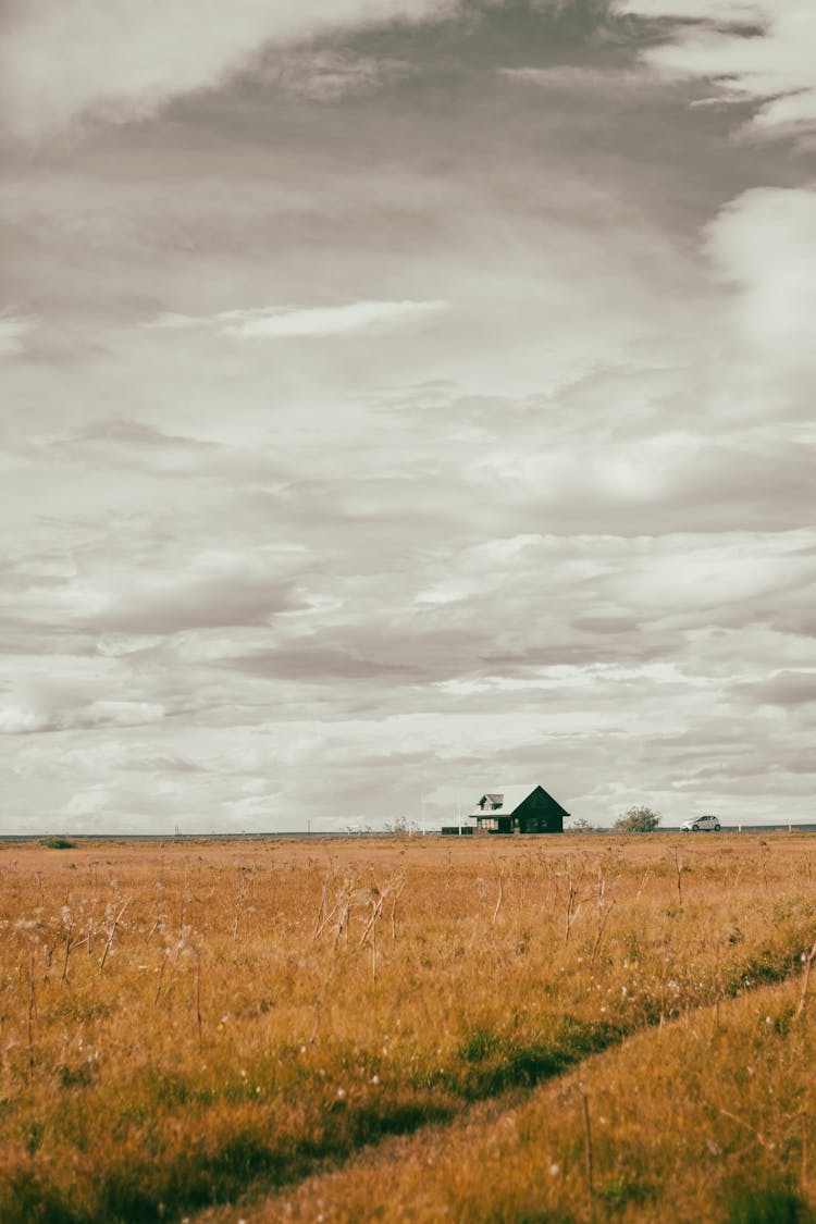 House In The Agricultural Land