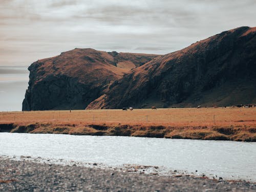 丘, 岩, 川の無料の写真素材