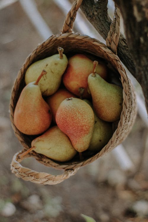 Pears in a Woven Basket