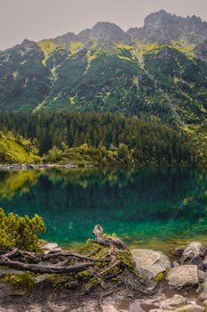 Picturesque view of Morskie Oko lake, nestled in Poland's Tatra Mountains, featuring a lush landscape.
