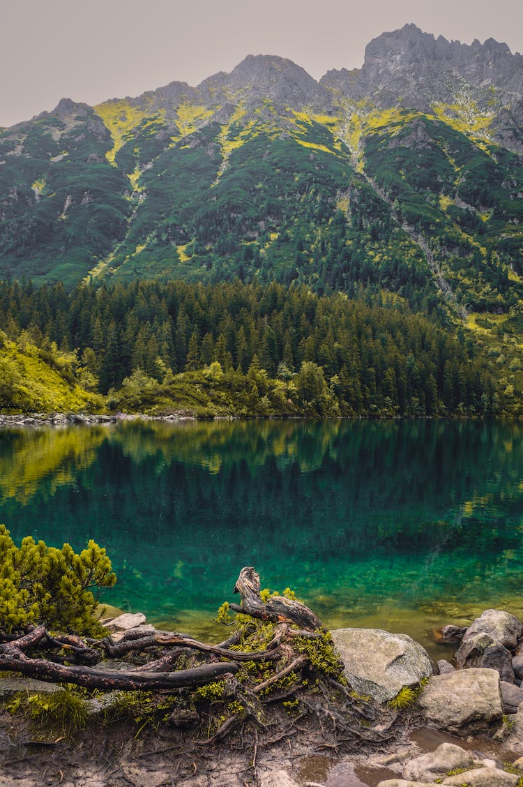 Landscape Photography Of The Morskie Oko