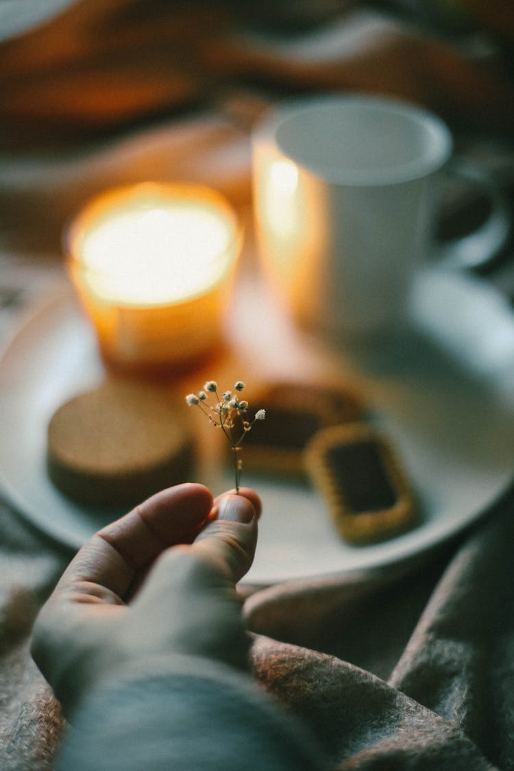 Hand Holding Small Plant Near Plate With Cookies, Wax Candle And Cup