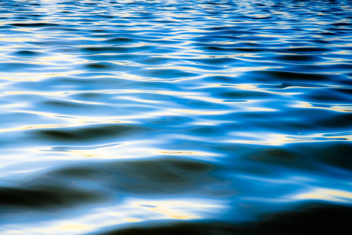 Close Up Shot of a Body of Water · Free Stock Photo