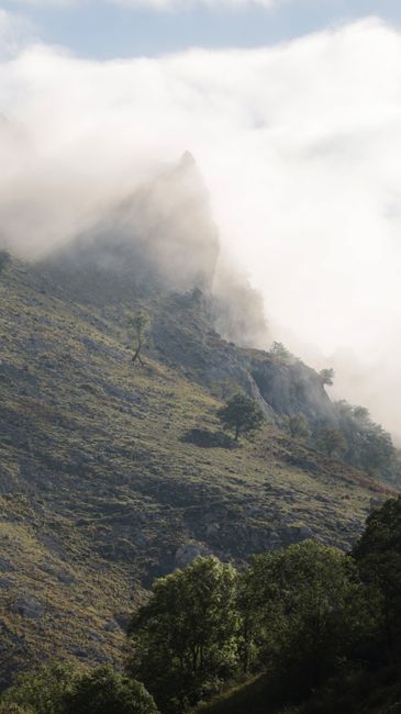 A serene mountain slope shrouded in fog, depicting tranquil natural scenery.
