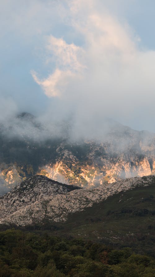 垂直拍摄, 山谷, 洛磯山脈 的 免费素材图片