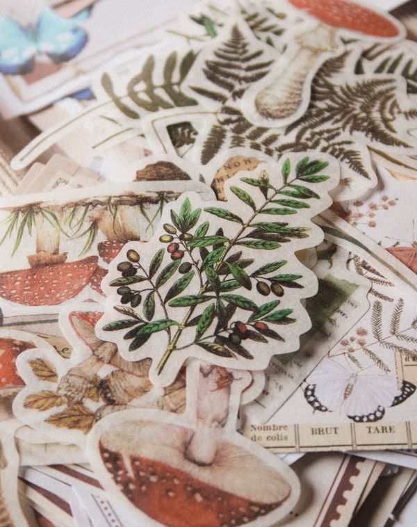 Botanical sticker art