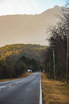 Peaceful road through lush foliage and mountains at dawn in Cordoba, Argentina.