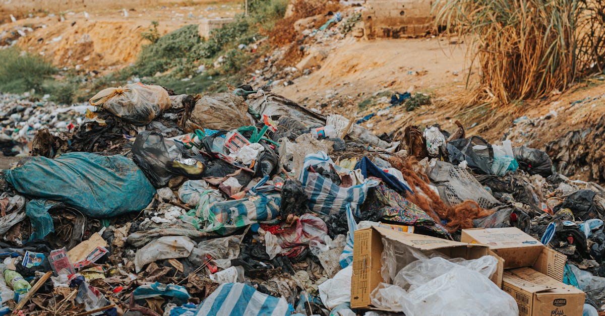 Garbage on Dumpsite Photo