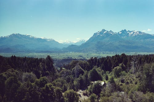 Landscape of a Forest and Mountains under Blue Sky 