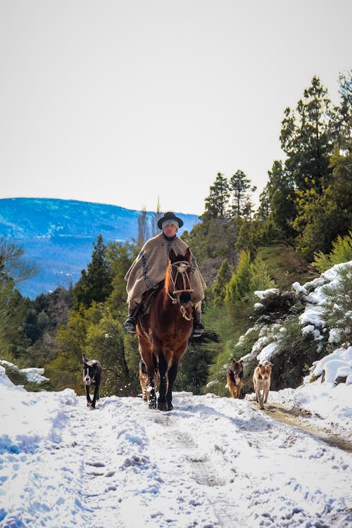 Man Riding a Horse