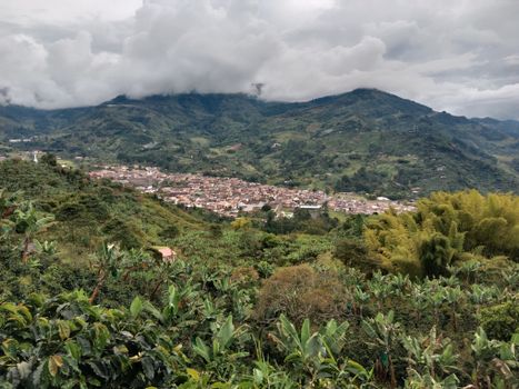 Coffee farm day trip (from Cartagena+) — Cartagena