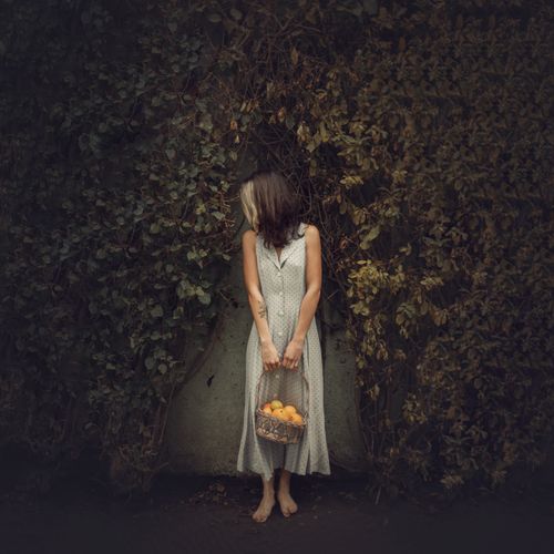 Free A woman in a summer dress holding a basket of oranges stands against a leafy backdrop, creating a serene natural scene. Stock Photo