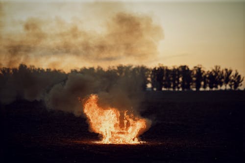 Gratis stockfoto met bonfire, brandend, dageraad Stockfoto